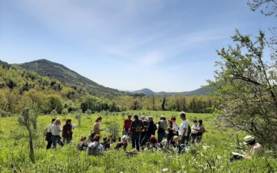 20240407_1250531812890377863068788.jpg 20240407_1250531812890377863068788.jpg