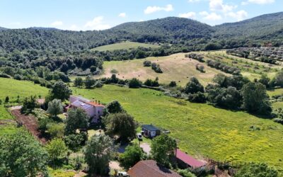 Immagine WhatsApp 2025-05-12 ore 15.36.13_0d47aeb6 Immagine WhatsApp 2025-05-12 ore 15.36.13_0d47aeb6